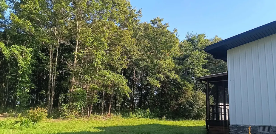 Cleared property line beside a workshop in Middle Tennessee